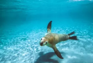 galapagos island hopping tours