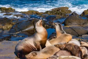 galapagos island land based tour