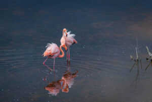 galapagos island land tour packages