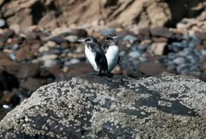 galapagos island land tour packages