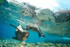 galapagos island land tour packages