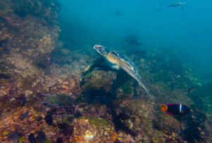 galapagos island trips family