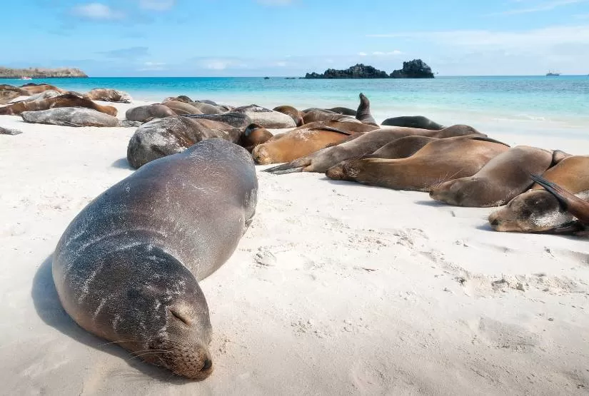 galapagos islands 7 days itinerary