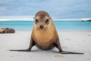 galapagos islands 7 days tour
