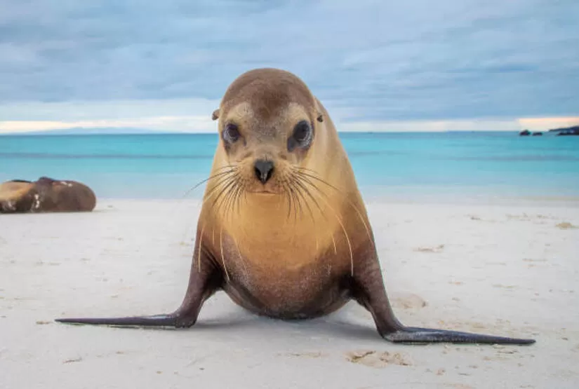 galapagos islands 7 days tour