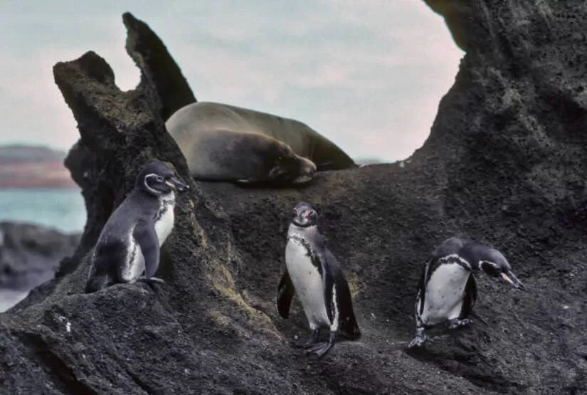 galapagos islands best tour