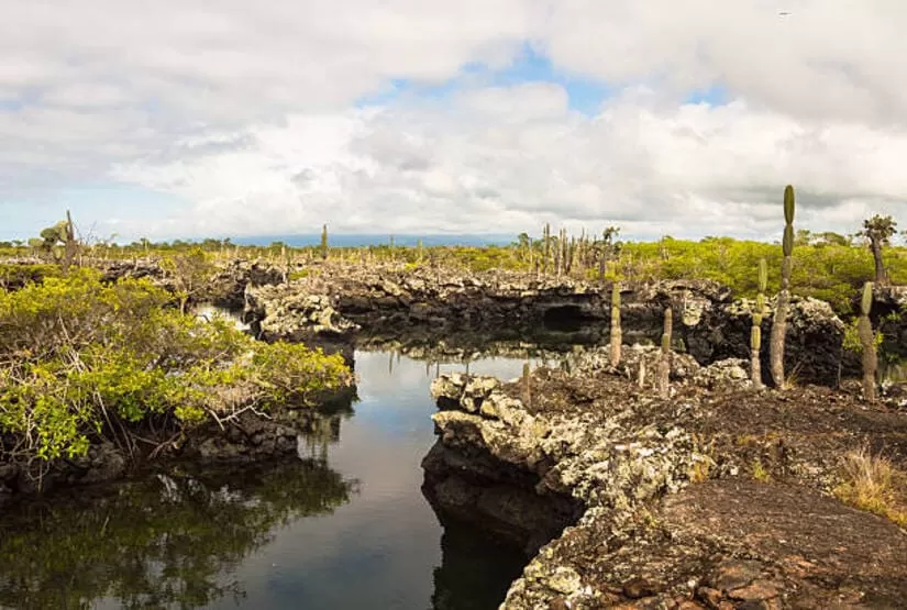 galapagos lands best tour