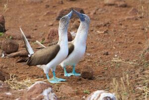 galapagos islands trip itinerary