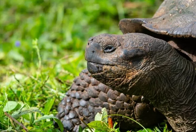 galapagos itinerary 7 days
