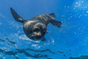 galapagos land based tour