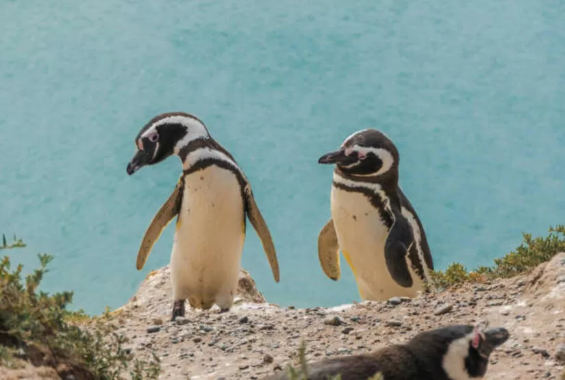 galapagos land based tour