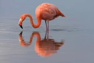 galapagos land tour