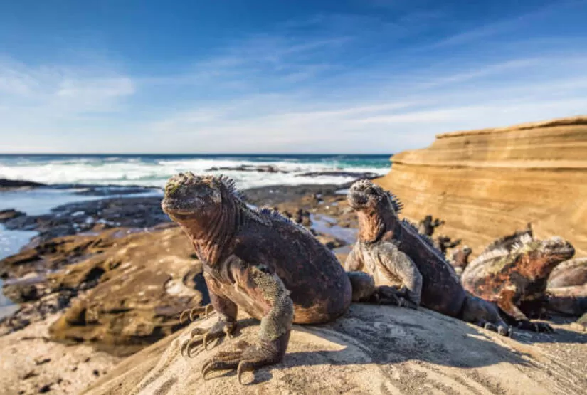 galapagos low cost