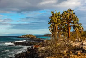 galapagos island tourist attraction