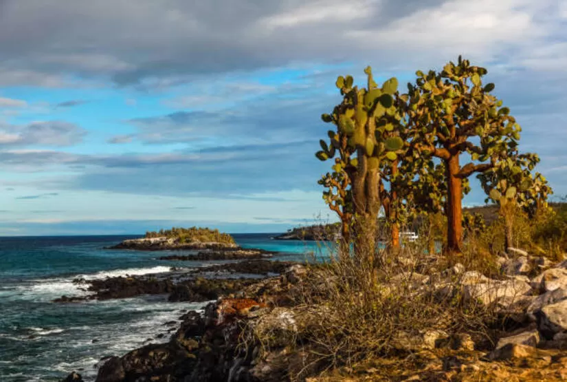 galapagos island tourist attraction