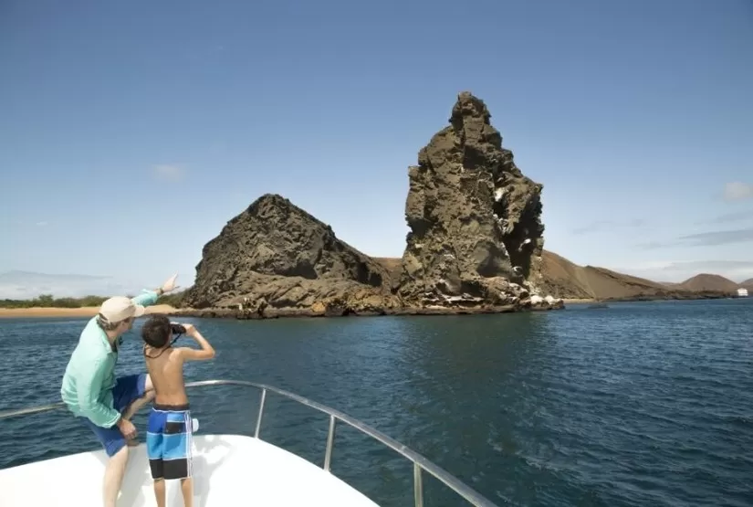 Daily Tour Sea Lion Yacht activities