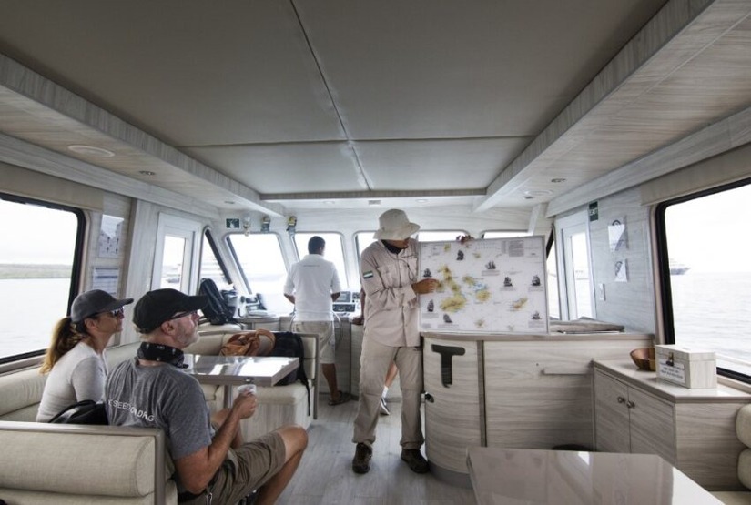 Daily Tour Sea Lion Yacht