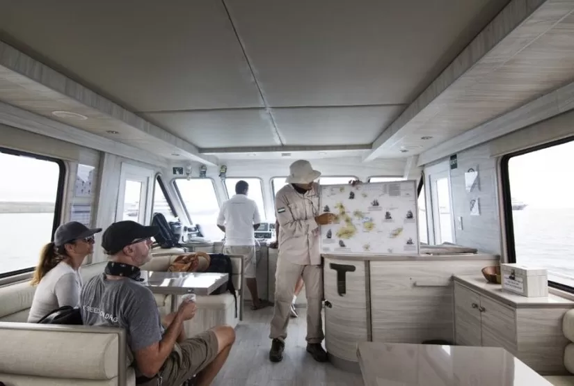 Daily Tour Sea Lion Yacht