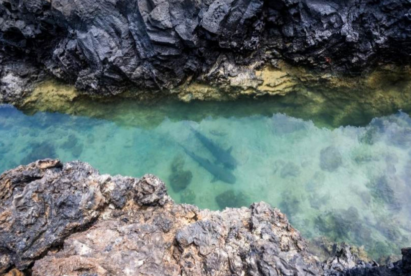 Tintoreras 6 days Students