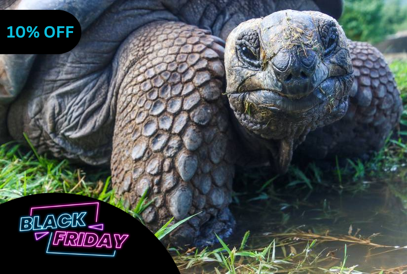 black friday 5 days galapagos last minute