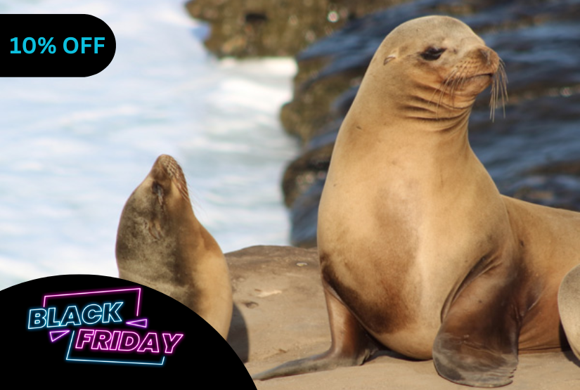 black friday 6 days galapagos last minute