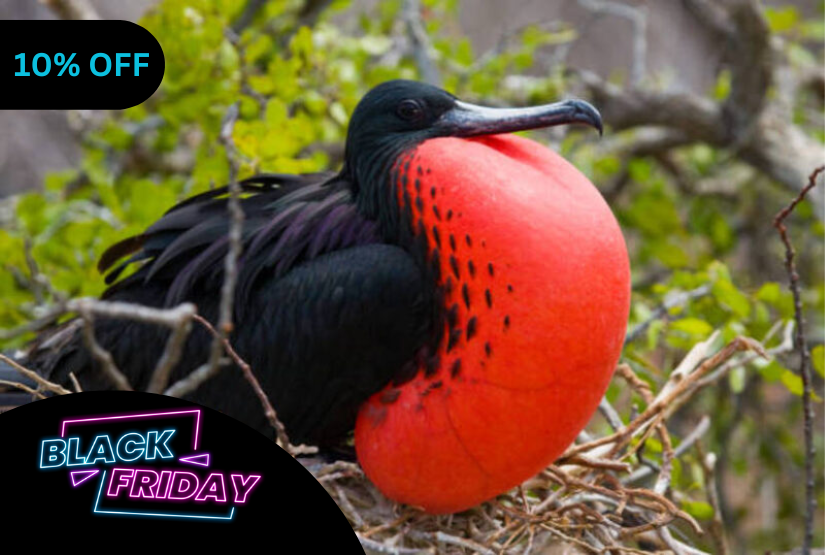 black friday 8 days galapagos last minute