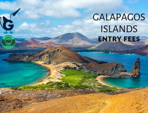 Galapagos Islands Update Entry Fees for Sustainable Tourism