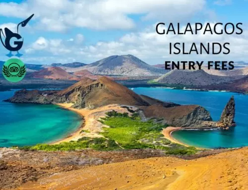 Las Islas Galápagos actualizan las tarifas de entrada para un turismo sostenible