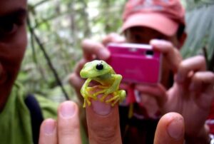 guacamayo lodge amazon jungle tour nature