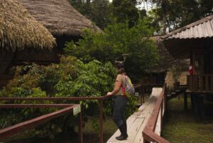 guacamayo lodge amazon jungle tours