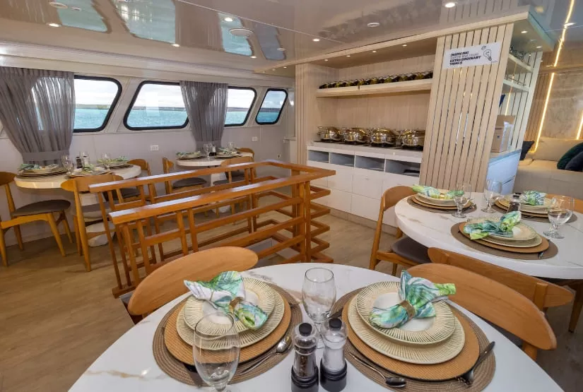 Dinning Room Galaxy Orion