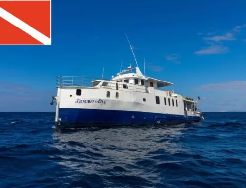 Danubio Azul Yacht