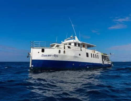 Danubio Azul Yacht
