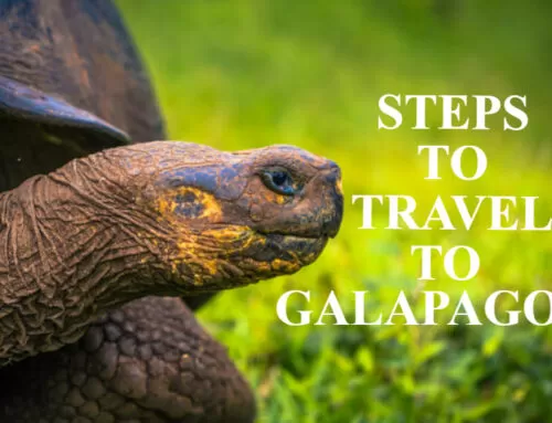 Steps to travel to Galapagos