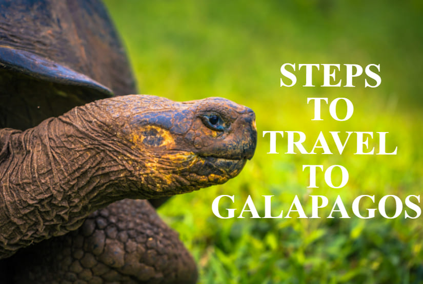Steps to travel to Galapagos