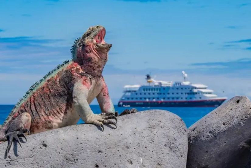 galapagos cruises 2024 price