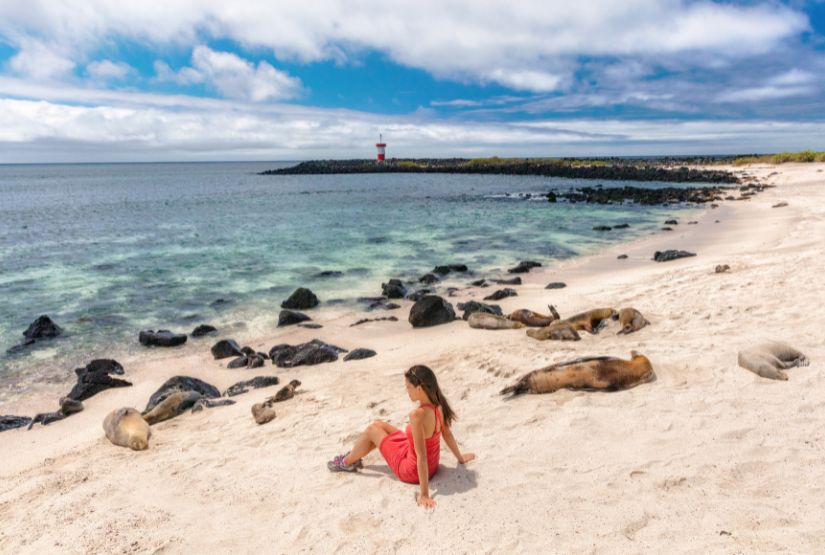 galapagos cruises 2024 trips