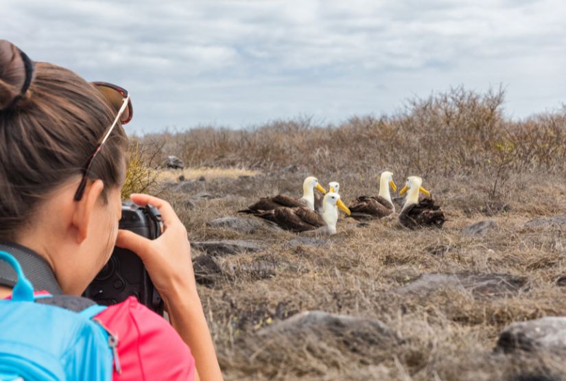 galapagos cruises 2025