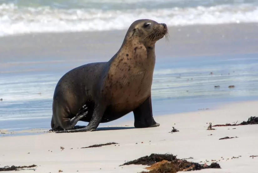 galapagos cruises 2025 best trip