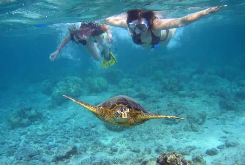 galapagos cruises 2025 price