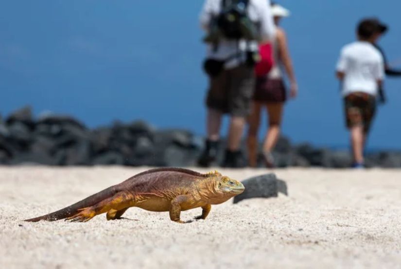galapagos cruises 2027 best
