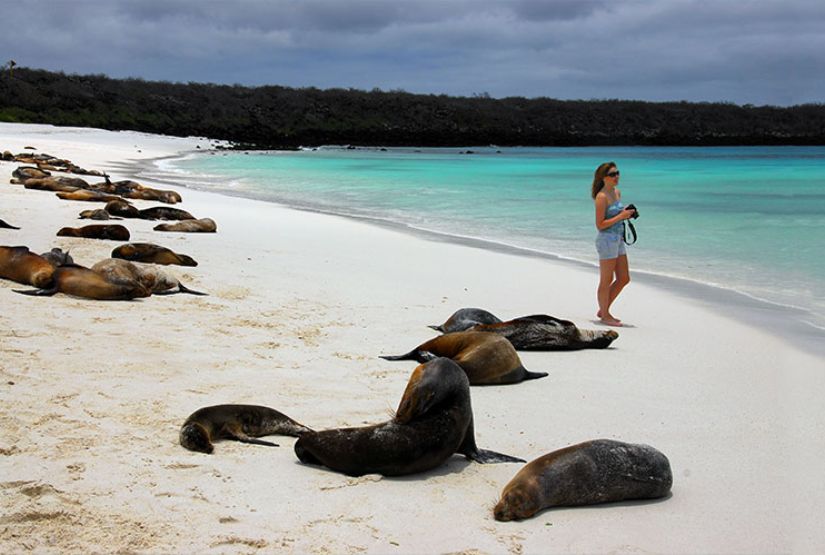 galapagos island cruises 2024