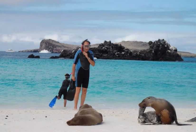 galapagos islands cruise cost 2025