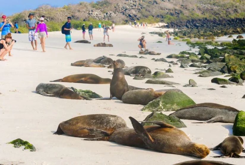 galapagos islands holidays 2025