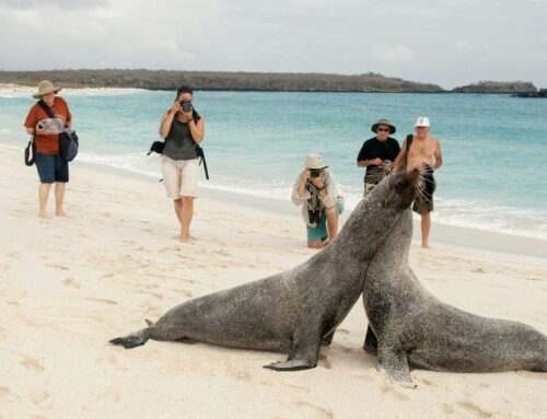 New entrance fees to the Galapagos National Park-August 1