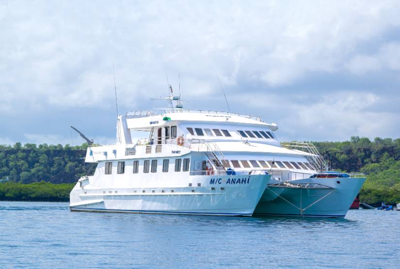 Anahi Catamaran Gps (2)