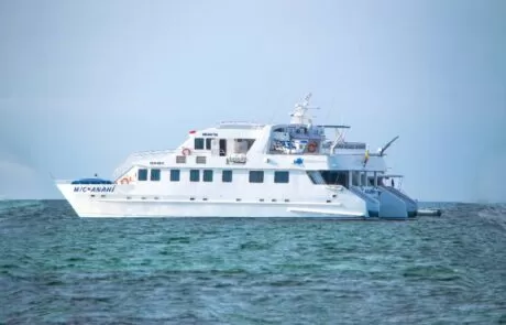 Anahi Catamaran exterior