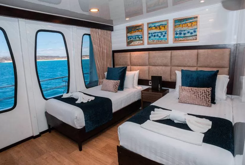 Alya Catamaran Twin Upper Deck