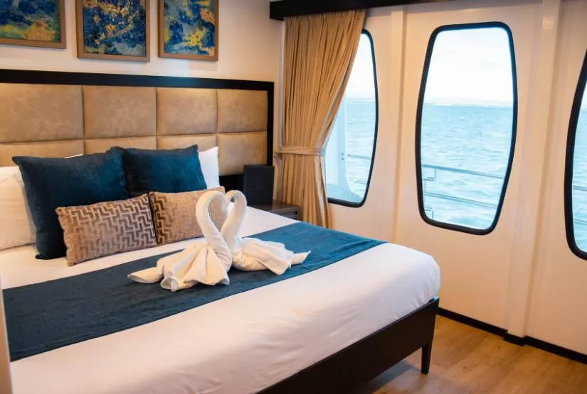 Alya Catamaran Upper Deck