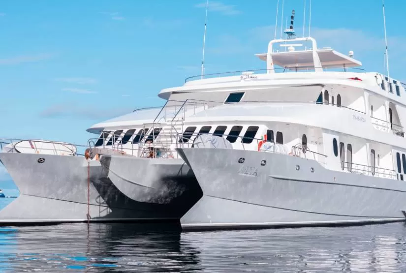 Alya Catamaran
